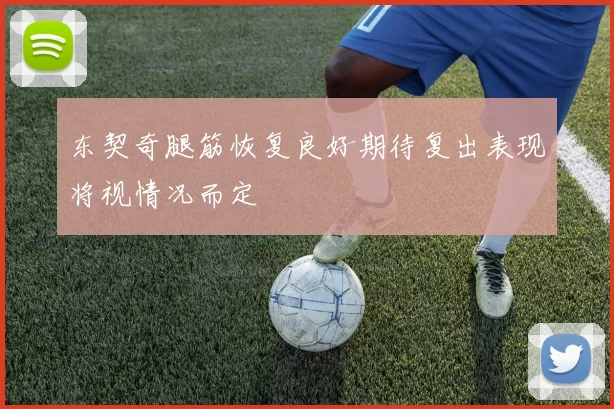 东契奇腿筋恢复良好期待复出表现将视情况而定