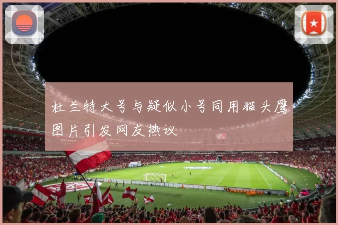 杜兰特大号与疑似小号同用猫头鹰图片引发网友热议
