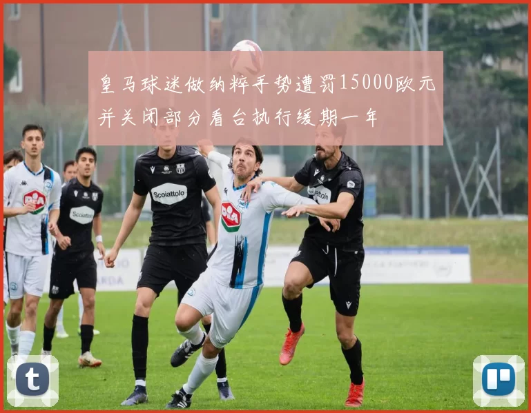皇马球迷做纳粹手势遭罚15000欧元并关闭部分看台执行缓期一年