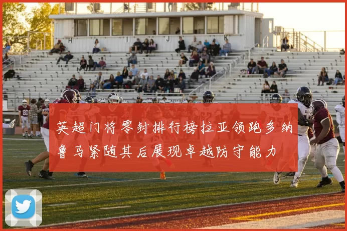 英超门将零封排行榜拉亚领跑多纳鲁马紧随其后展现卓越防守能力